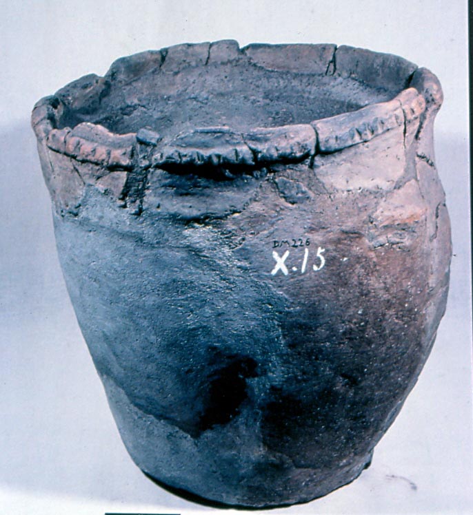 A bucket-shaped vessel with a bulge on one side A bucket-shaped vessel with a bulge on one side