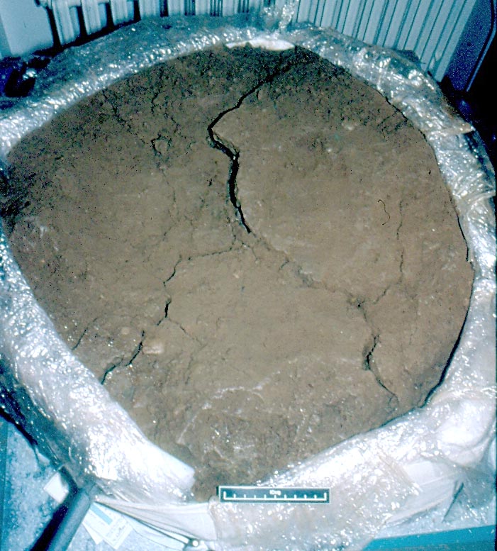 A block of soil with a large crack running across the middle A block of soil with a large crack running across the middle