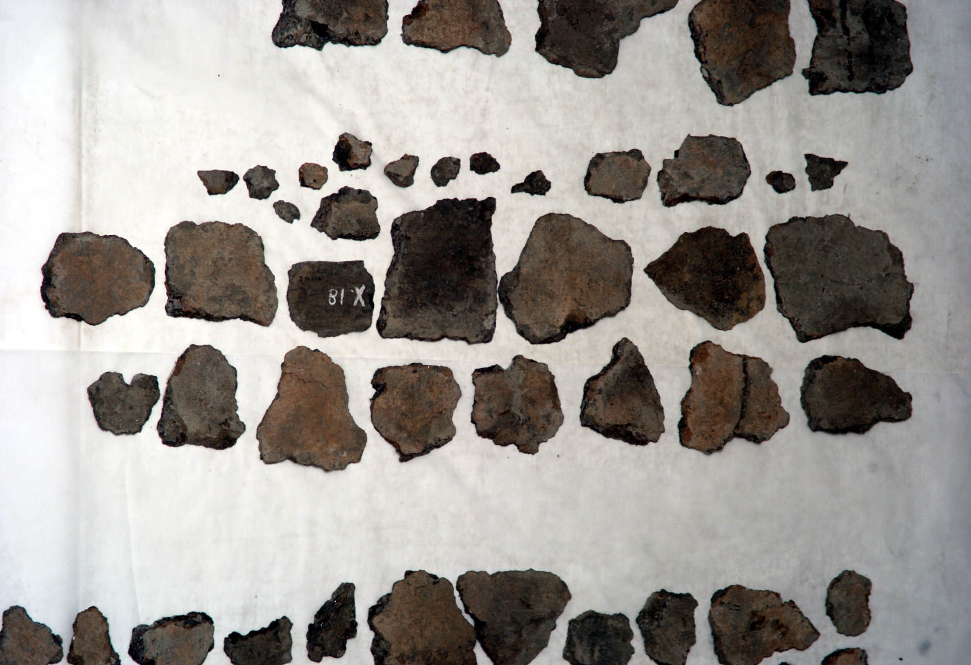 Fragments of pot laid out in rows Fragments of pot laid out in rows