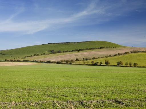 Liddington Castle and fieldscape Wilts EH Photo Archive