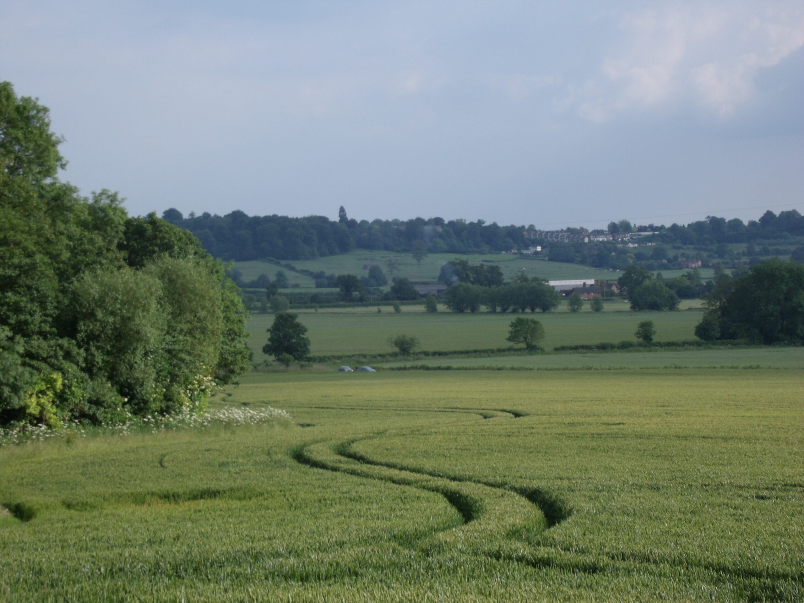 Olivers Castle Roundway Down2