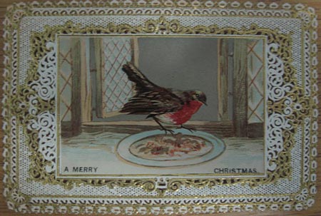 Robin