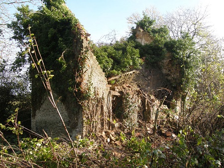 A ruined stone building with partial walls and vegetation growing around and within