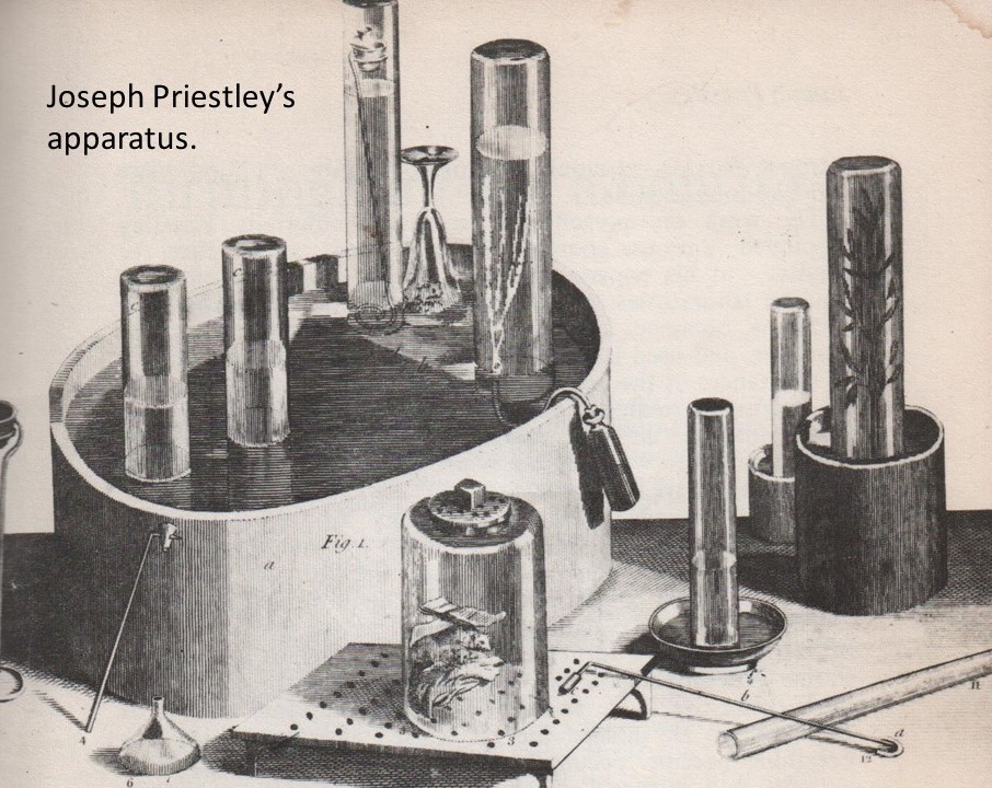 Engraving depicting chemical apparatus and specimens including a plant under glass in a controlled atmosphere.