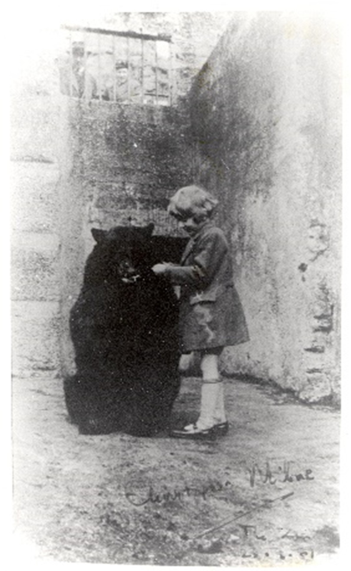 A child with chin-length hair wearing shorts, long-socks and a coat is holding food in front of a bear sat in front of a wall.