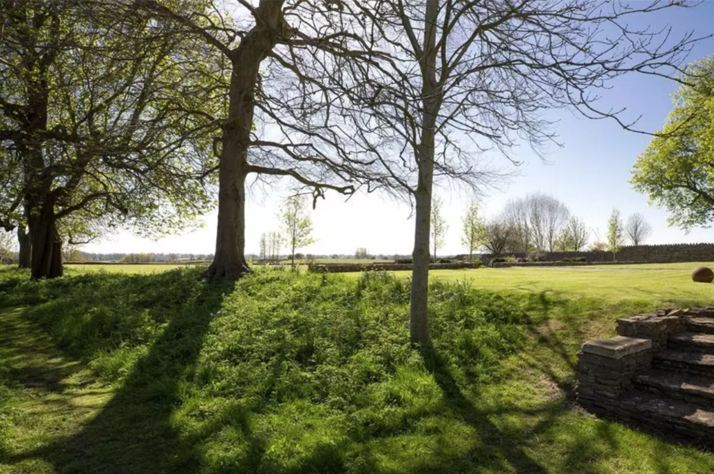 Section of small flight of stone steps to right-hand side of image at the end of a tree-lined bank with raised green, grass lawn beyond. Sunlight casting shadow through the tree.