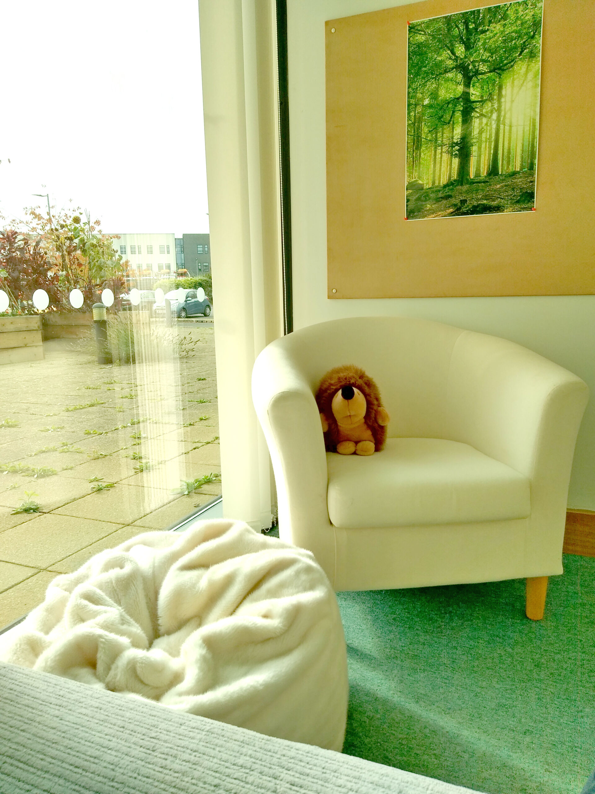 A cosy white armchair with a cuddly toy hedgehog and white bean bag on a green carpet with a poster of a sunlit green woodland on the wall