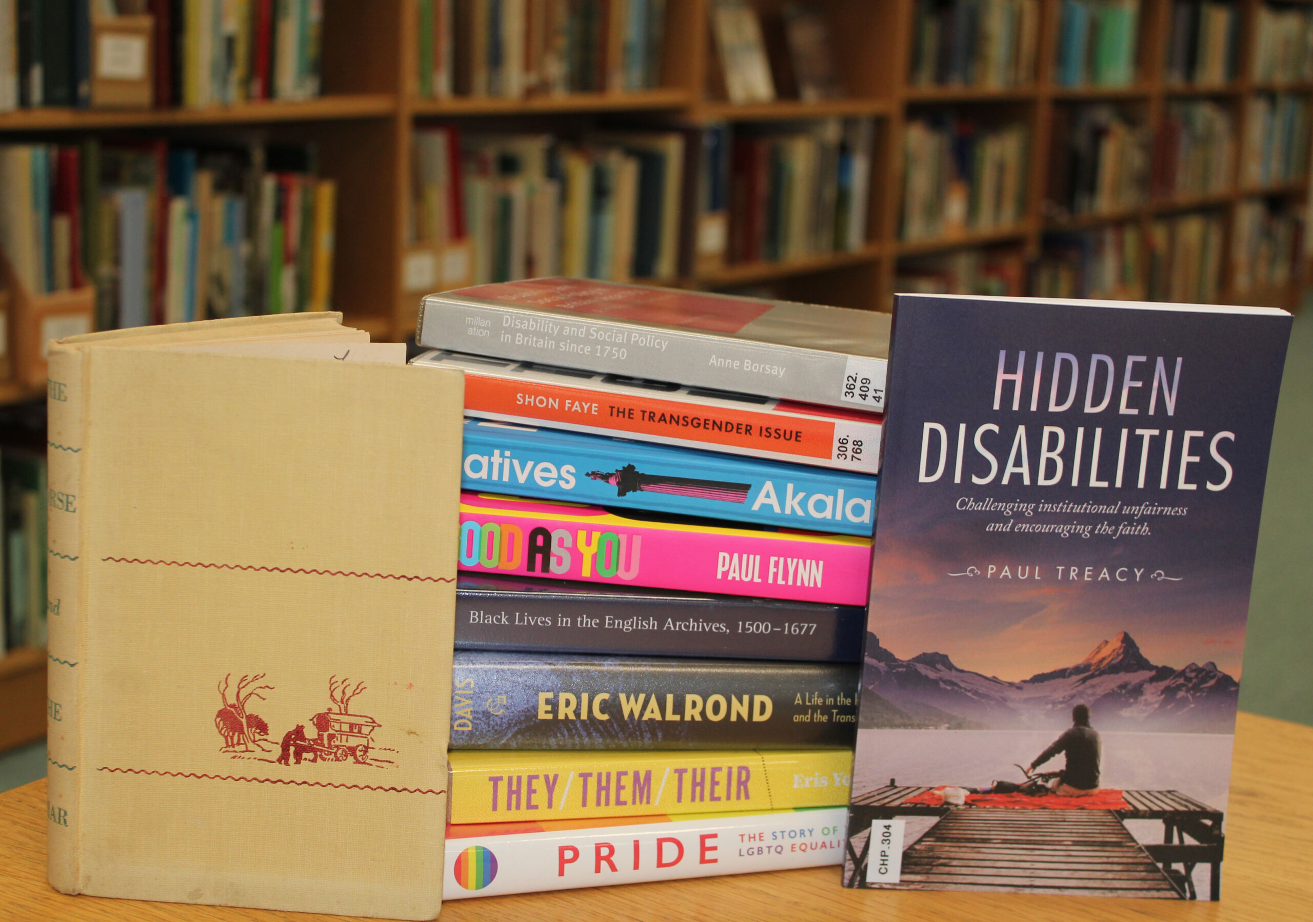 A stack of books on diversity topics with two books cover outward facing, the left with a drawing of a gypsy caravan and the right titled 'Hidden Disabilities'.