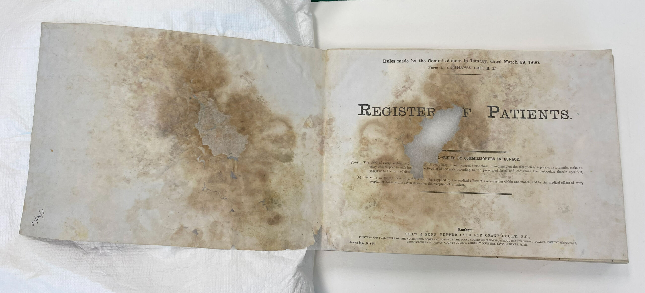 Pages with left-hand page re-joined and hole filled with transparent mesh-like paper, flaking all stabilised. The right0-hand page has the printed text and the hole is stabilised with transparent lining paper.