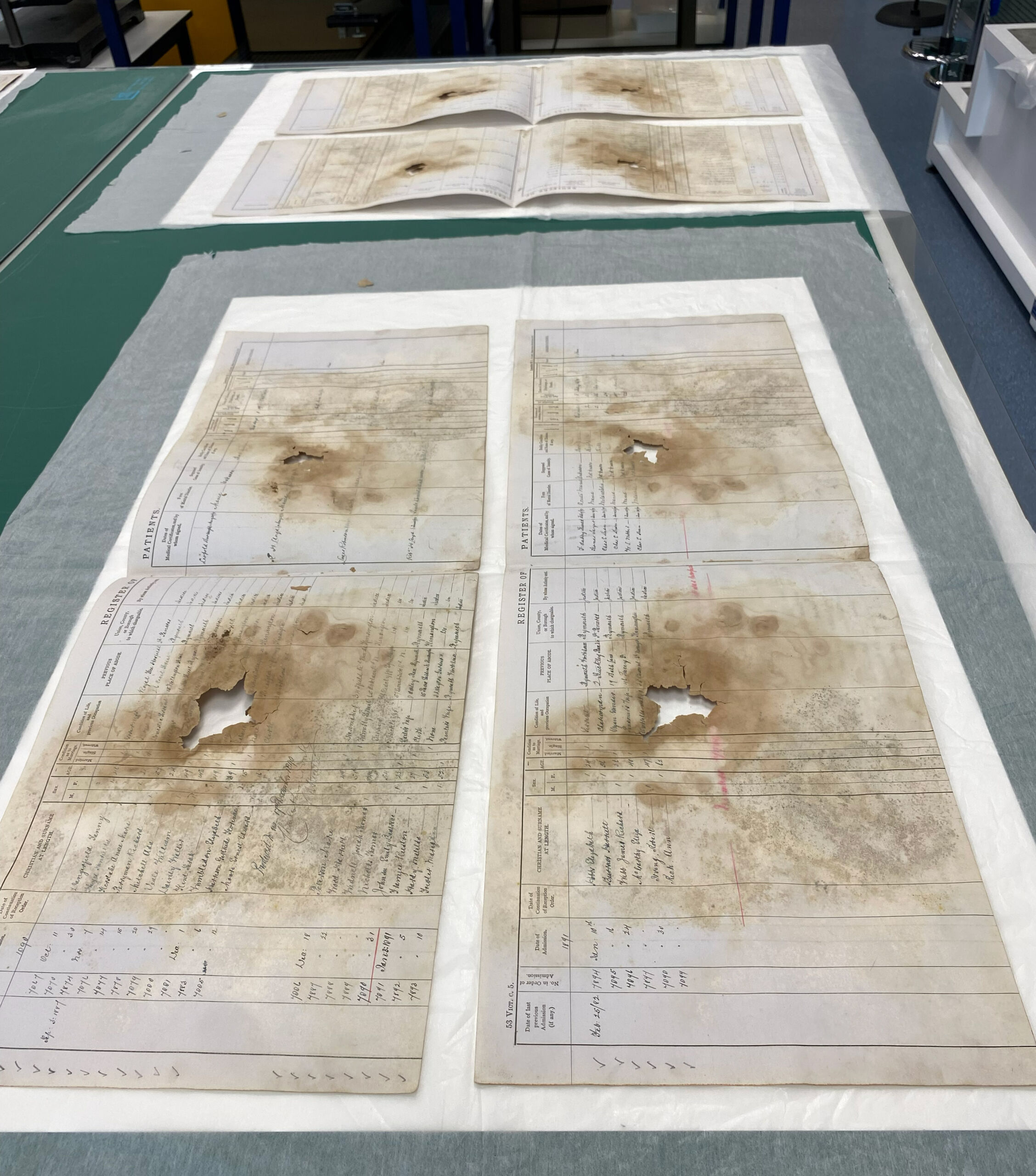 Four individual double pages laid out on thin almost transparent membrane laid on top of paper, on top of a large green cutting board