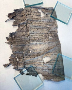 An example of one of the court roll pages before conservation