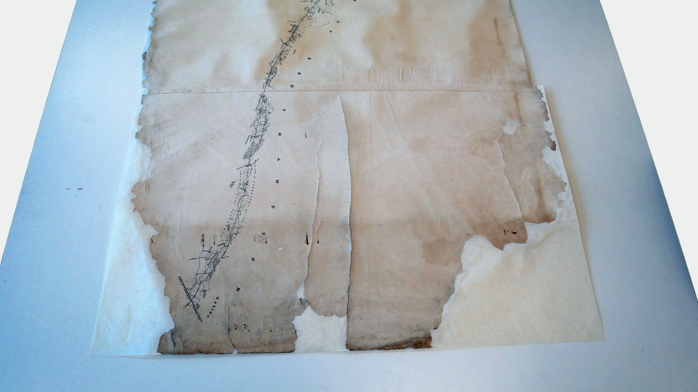 End of unrolled map showing torn edges held securely to backing.