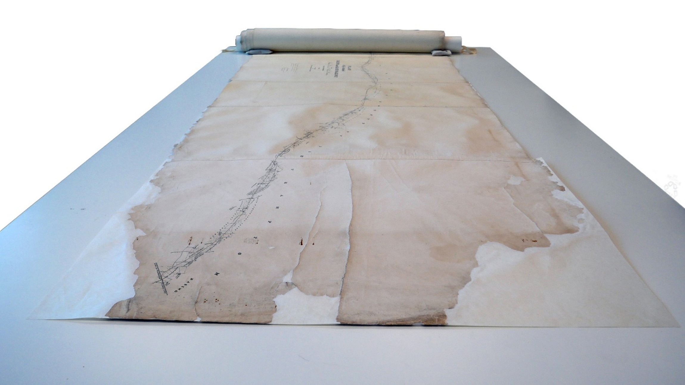View along unrolled map from newly conserved torn end, now securely mounted on backing layer.