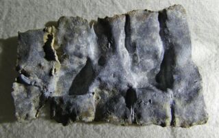 A dark coloured flattened but warped piece of metal with light highlighting inscribed markings
